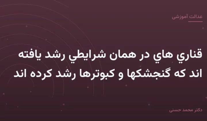 قناري هاي در همان شرايطي رشد يافته اند كه گنجشكها و كبوترها رشد كرده اند