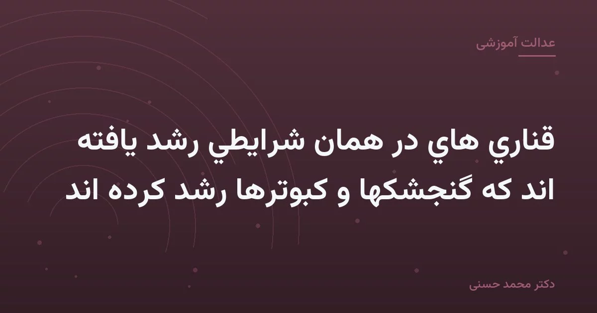 قناري هاي در همان شرايطي رشد يافته اند كه گنجشكها و كبوترها رشد كرده اند